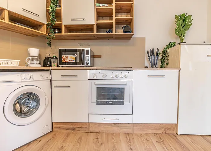 Apartment Enjoy The Danube And Prater Stern From Our 1br Gem *