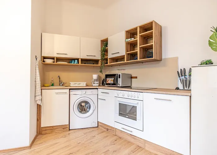 Enjoy The Danube And Prater Stern From Our 1br Gem Vienna
